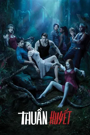 Watch Thuần Huyết Mùa 3 - True Blood Season 3